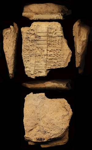 N1891