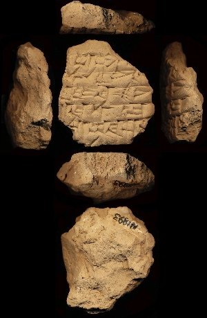 N1893