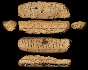 N1900