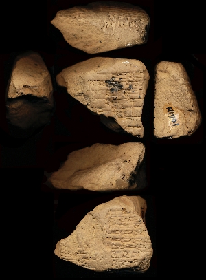 N1901