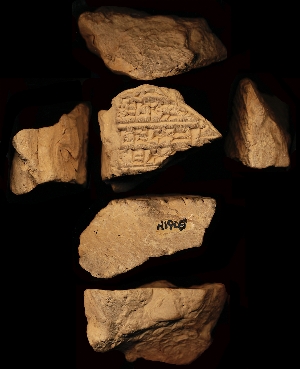 N1905