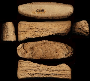 N1909