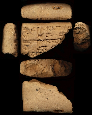 N1913