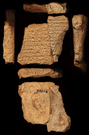 N1915