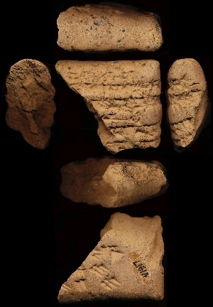N1917