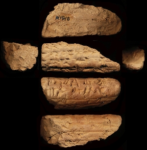 N1918