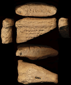 N1923