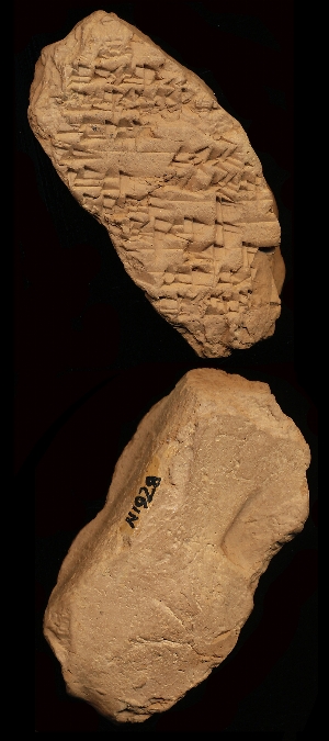 N1928