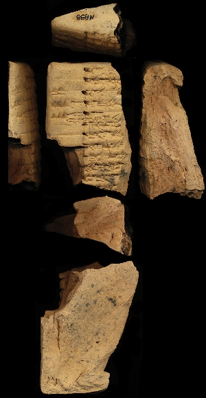 N1938