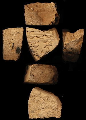 N1941