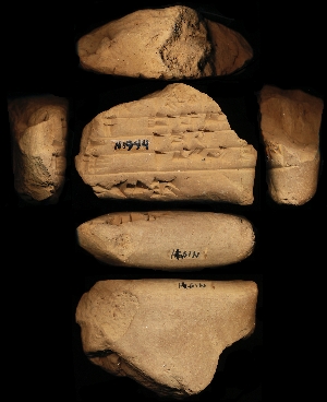 N1944