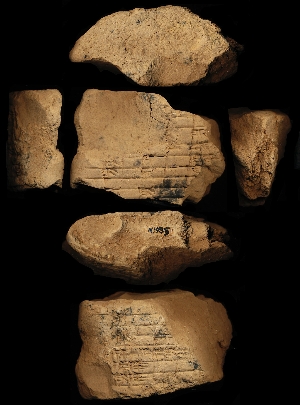 N1955