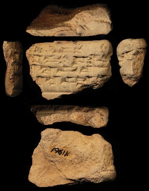 N1961
