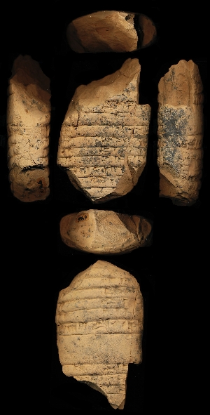 N1966