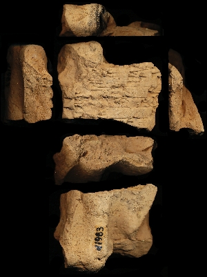 N1983