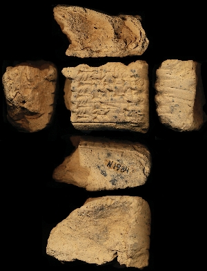 N1984