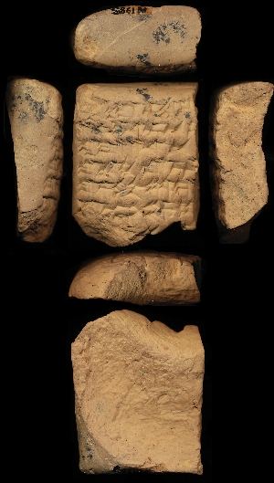 N1985