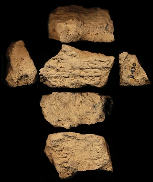 N1990