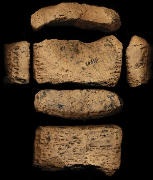 N1992