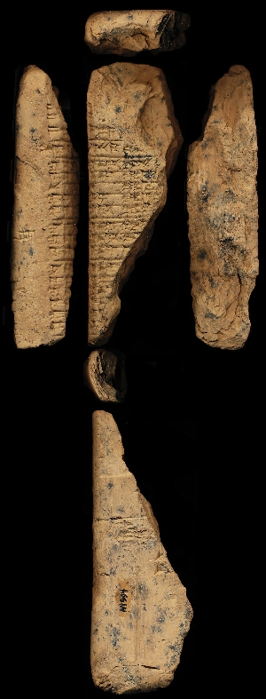 N1994