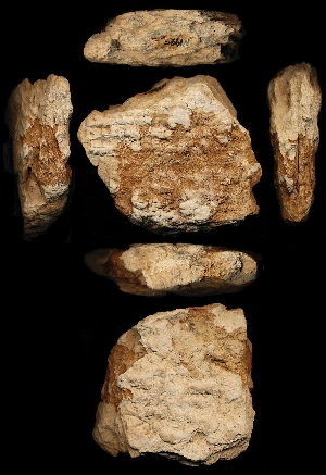 N1995