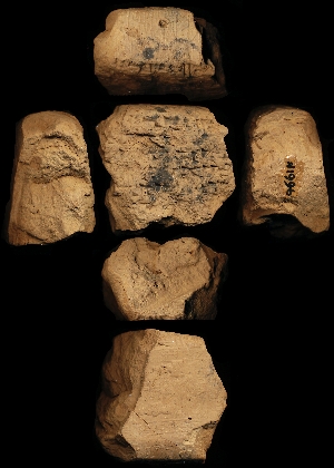 N1996