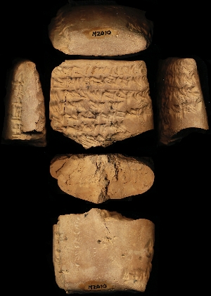 N2010