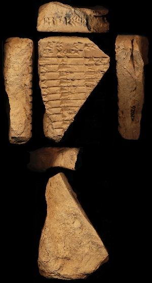 N2026