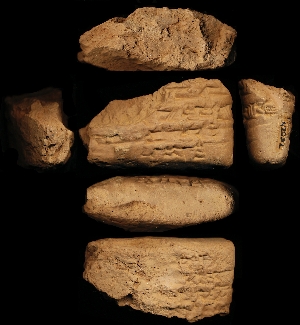 N2032