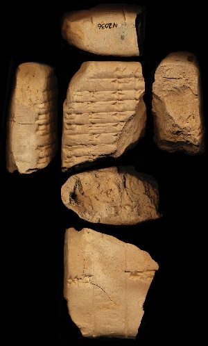 N2036