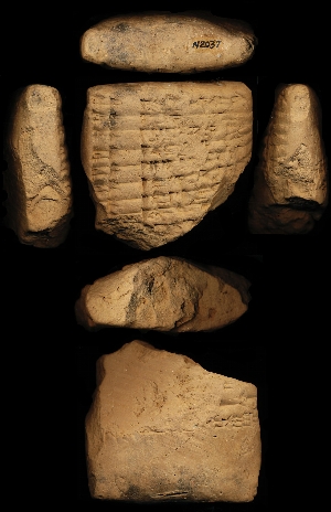 N2037