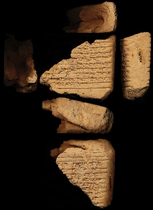 N2038
