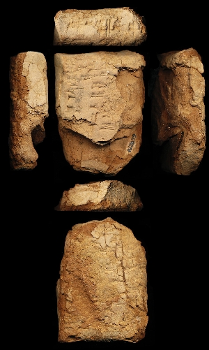 N2039
