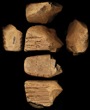 N2040