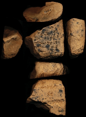 N2043
