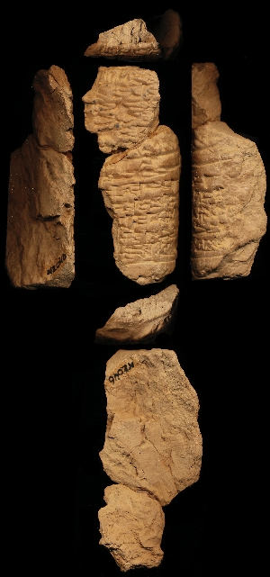 N2046