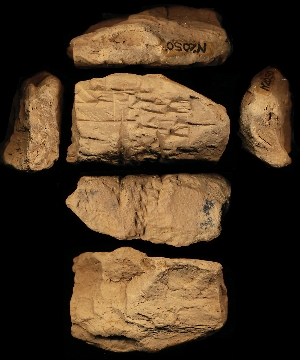 N2050