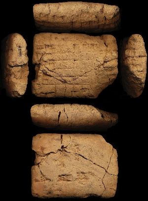 N2054
