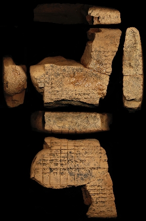 N2056