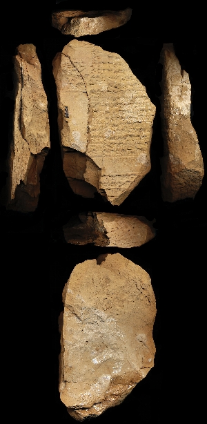 N2059