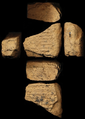 N2061