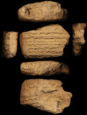 N2064