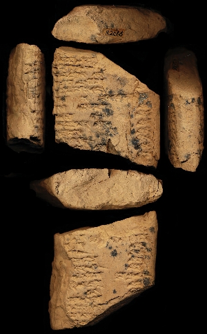 N2066