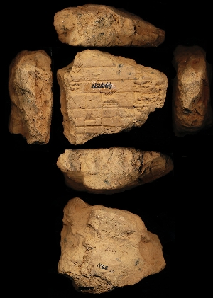 N2069