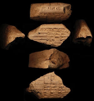 N2079