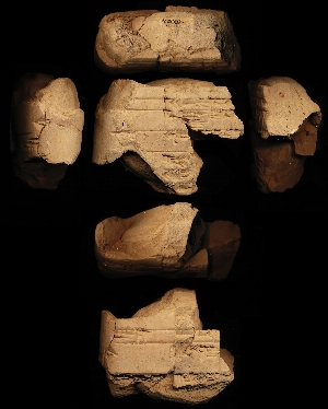 N2082