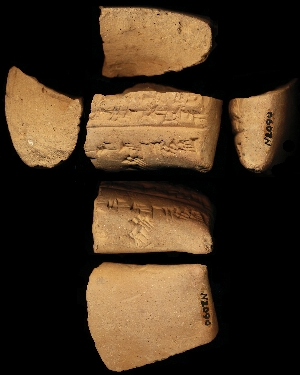 N2090