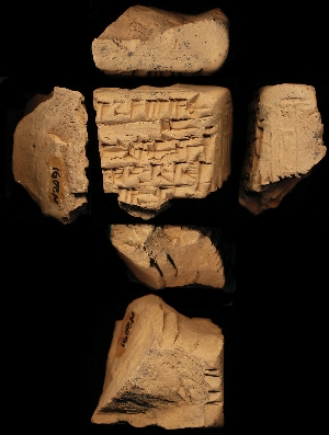 N2091