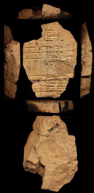N2092