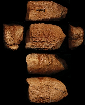 N2093